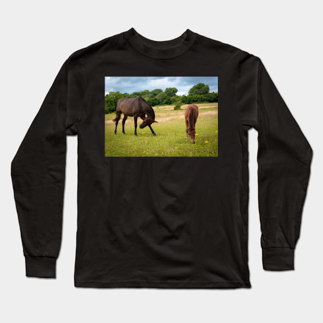 Pasture Long Sleeve T-Shirt by RJDowns